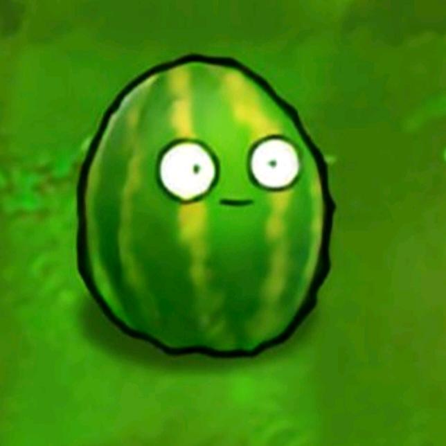 考公我先做数量