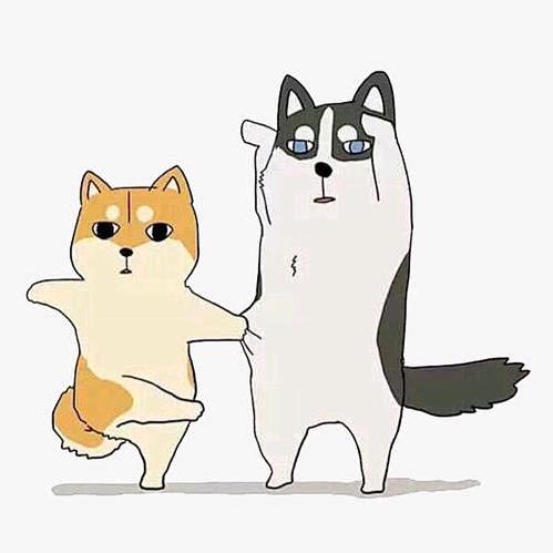 喵小白&大黄