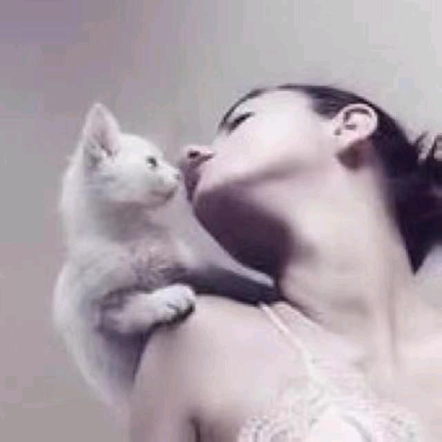 玫瑰精灵