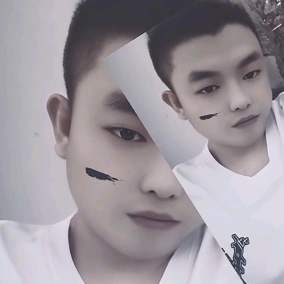 🐻🐻🐻丁丁🐨🐨🐨🐨