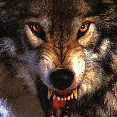 请您叫我刘老板