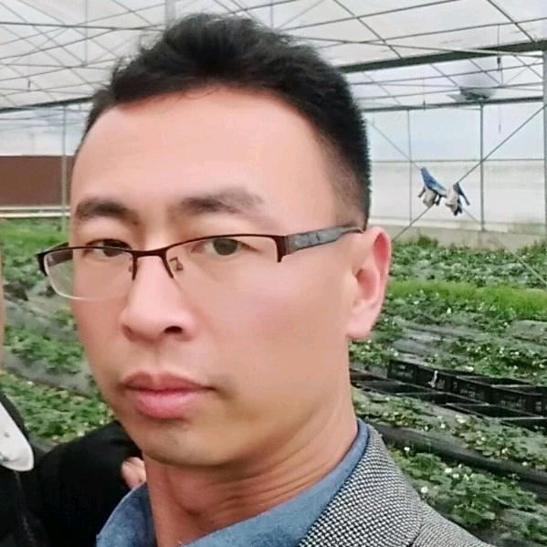 北山乡灵芝