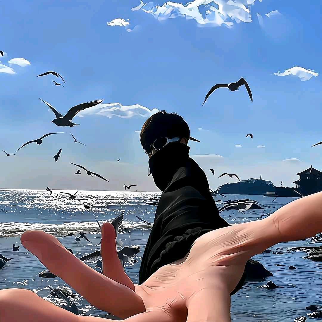 努力的小韭菜