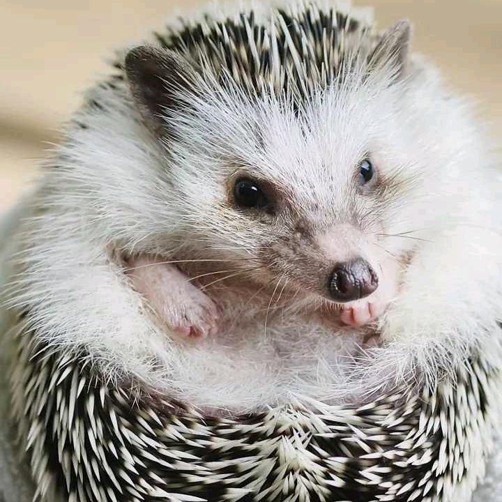 👁南来北往👁