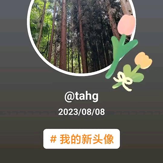 平淡大叔