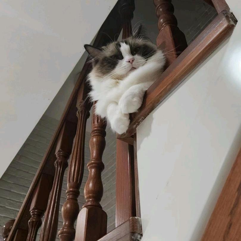 白云