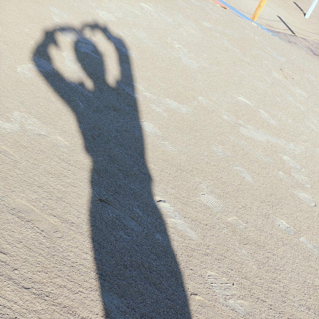 &红姐&爱跳舞（拒绝连赞）