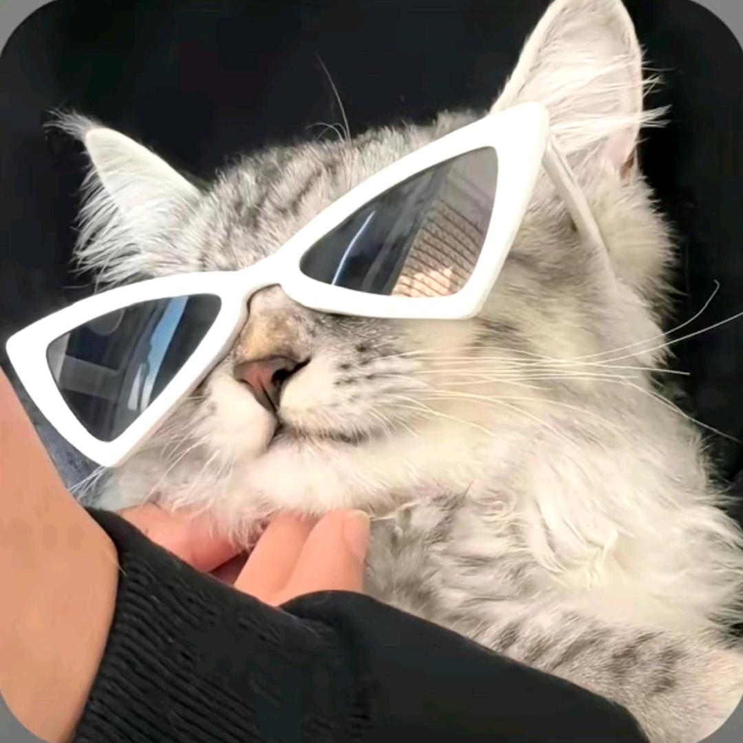 溢椿