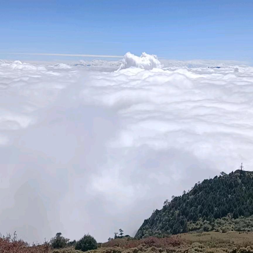 淡忘一切