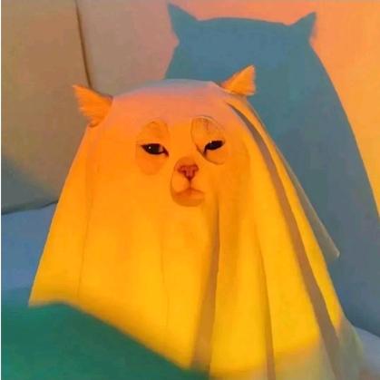 哇哇哇 ʔ•̫͡•ʕ