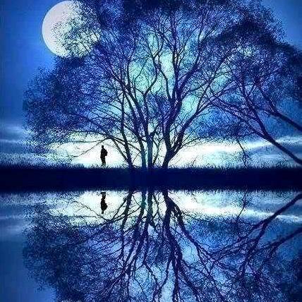 《戴🦋҉ིꦿ烟烬半生缘🦋҉ིꦿ》