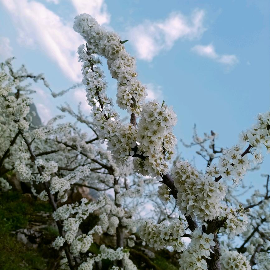 ζ᭄一໊切໊随໊意᭄