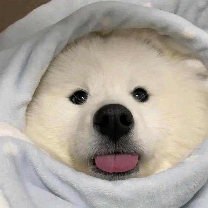小忧郁.