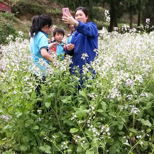 人生靠自己去努力