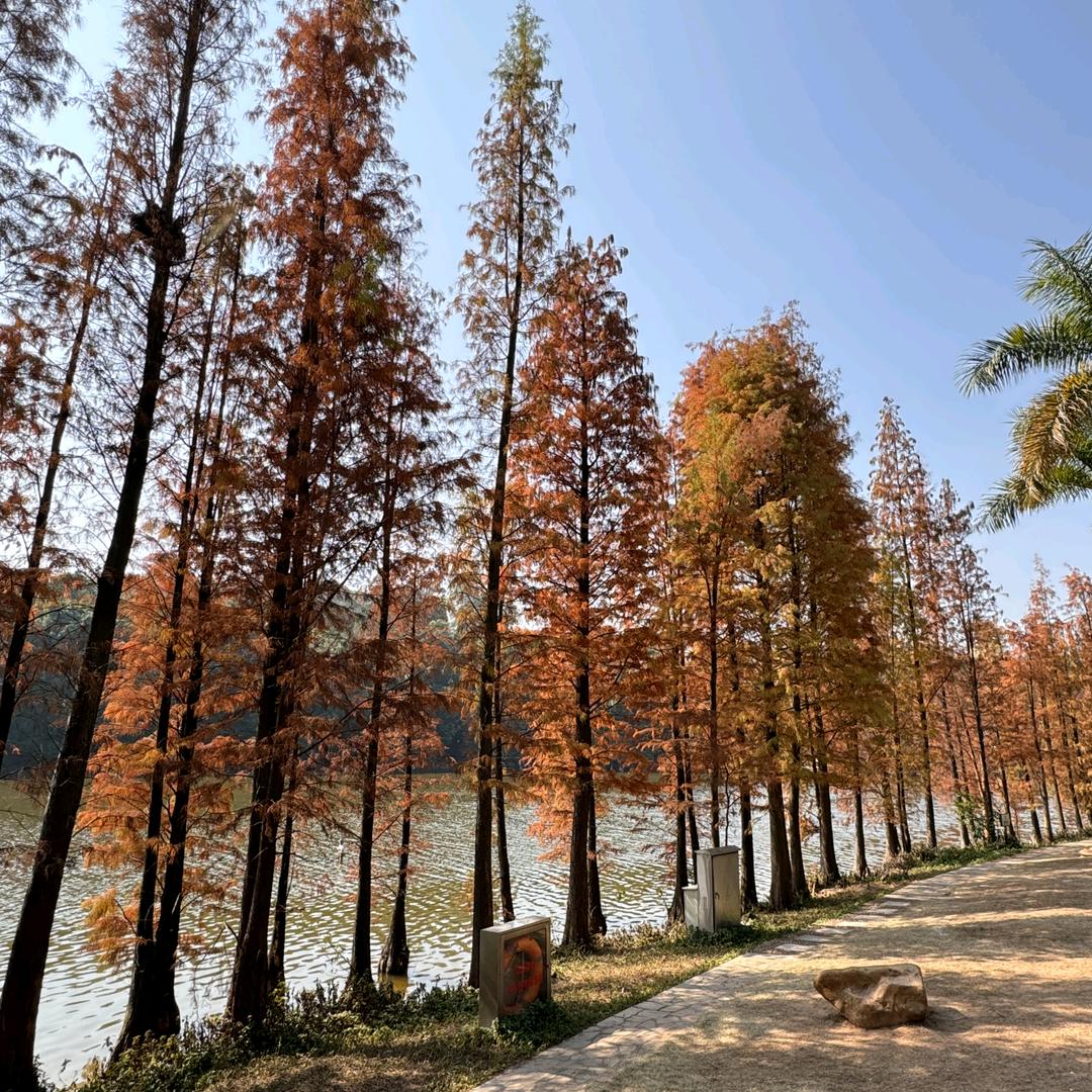 舞动青春（沙溪乘风破浪舞蹈团）