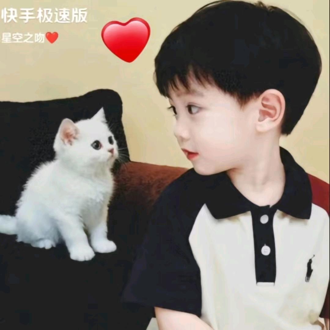 🎋མེས་པོའི།