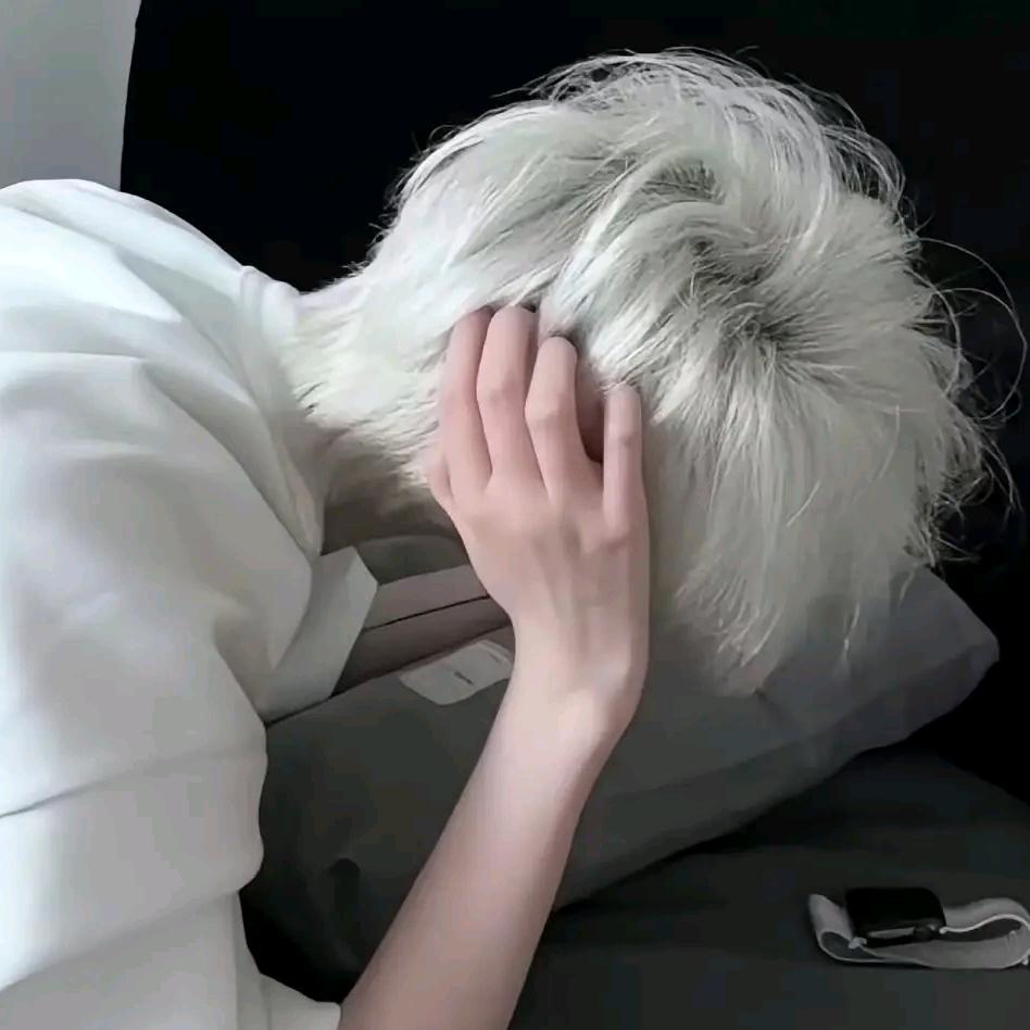 男主大人