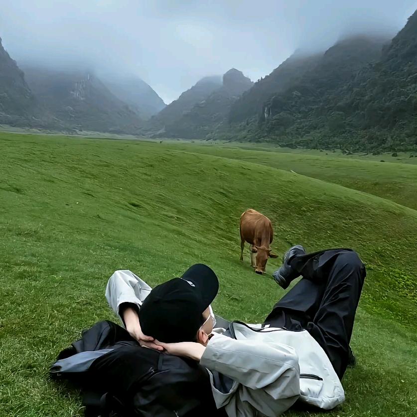贝塔.