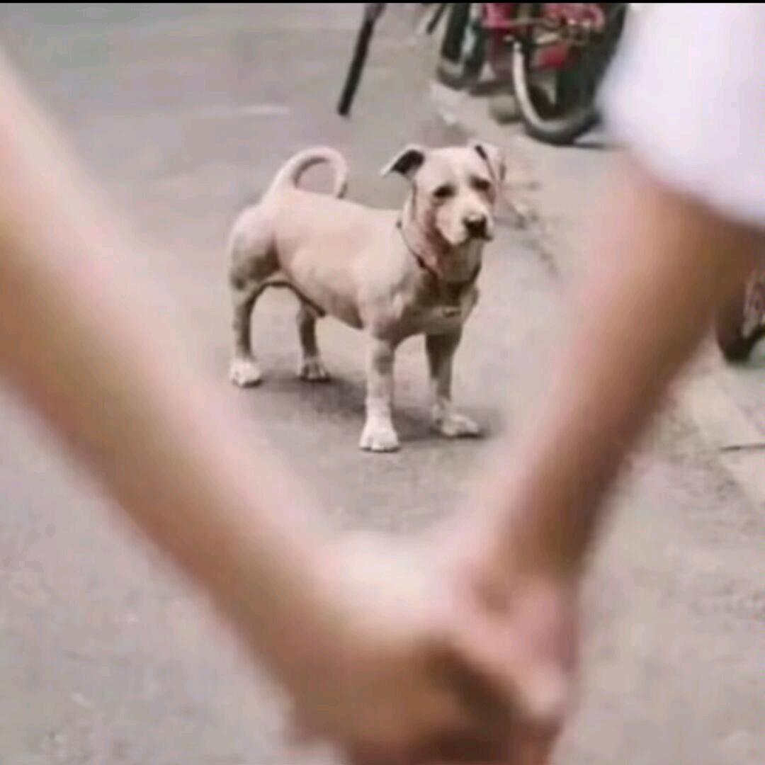 天渊