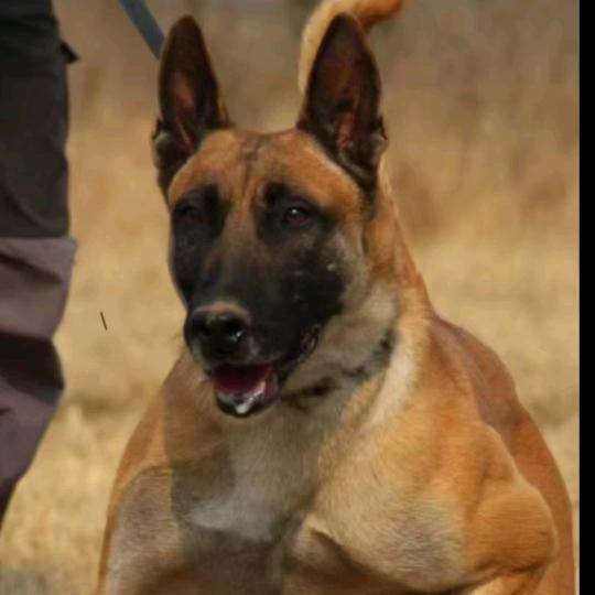 李信根漂浮的云，