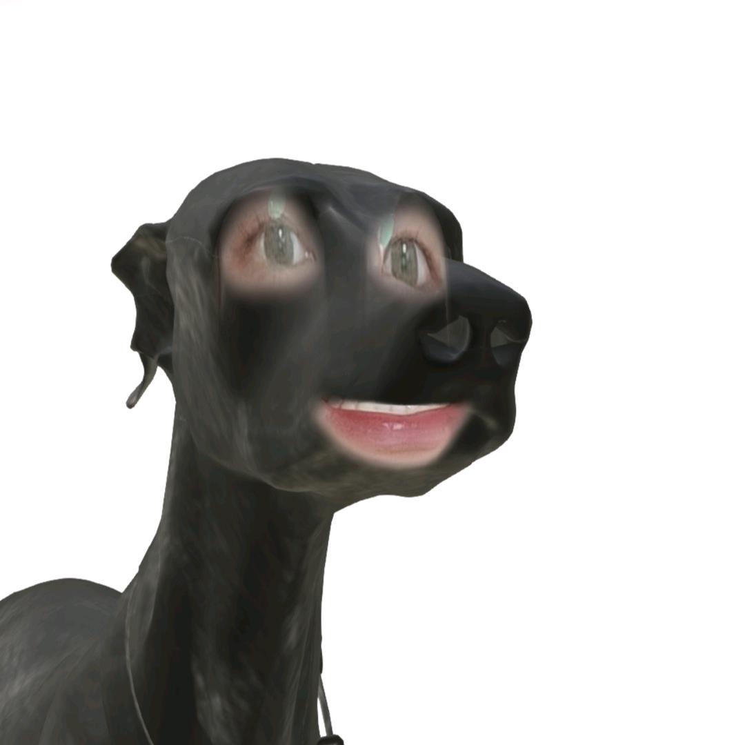 华子2.0