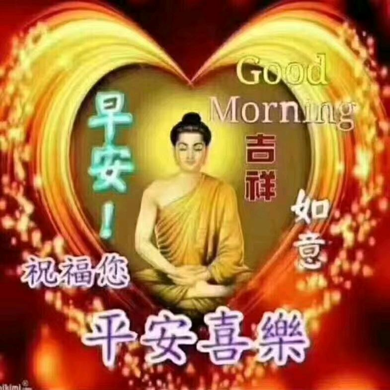 老耿爱生活