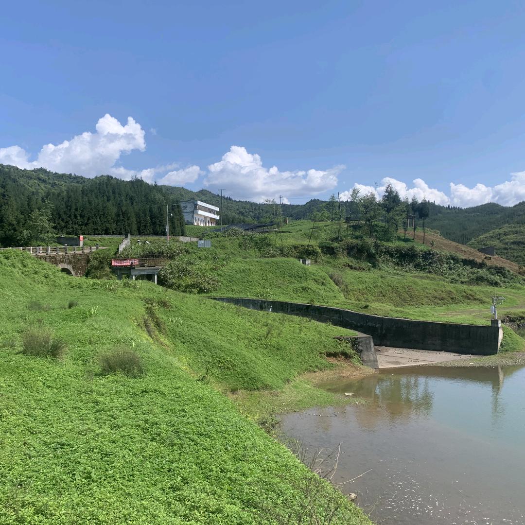 离沫倾城
