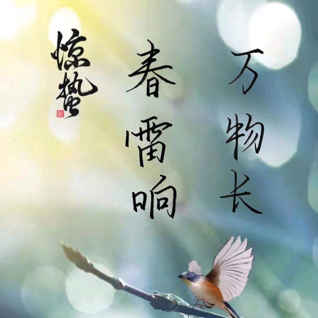 春蕾