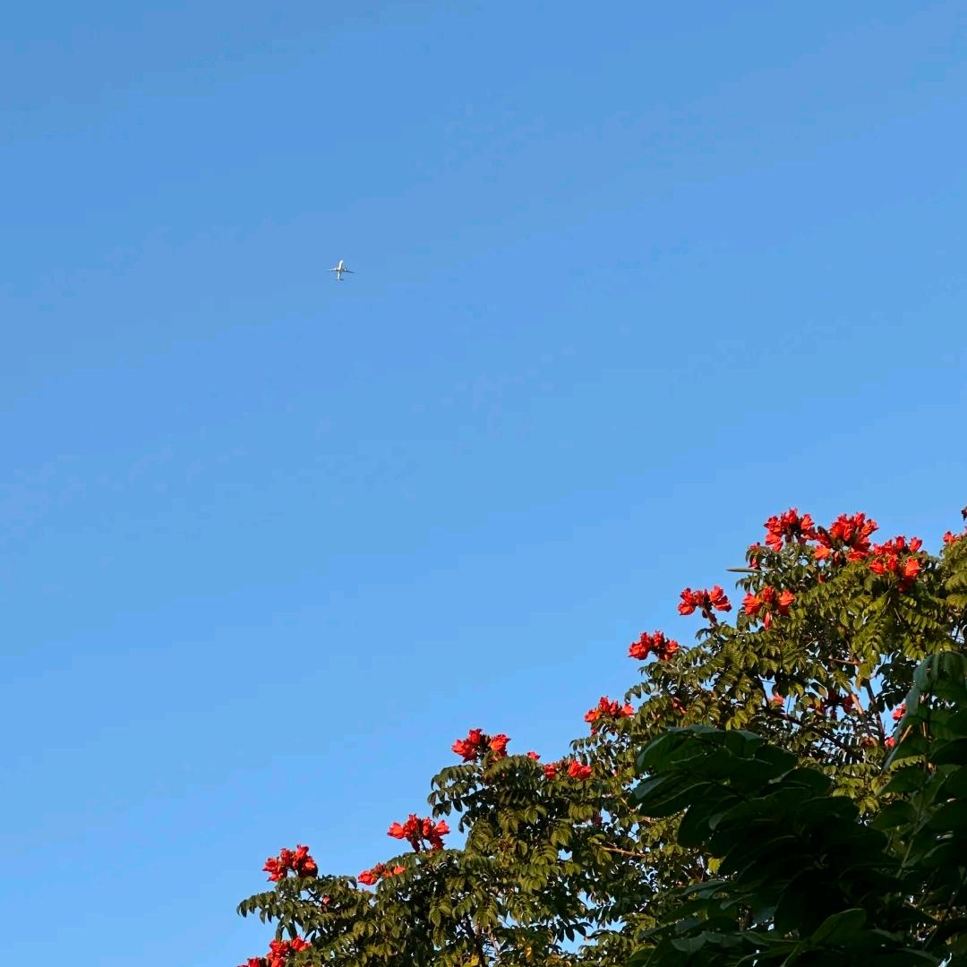 钦州市飞悦财税服务有限公司