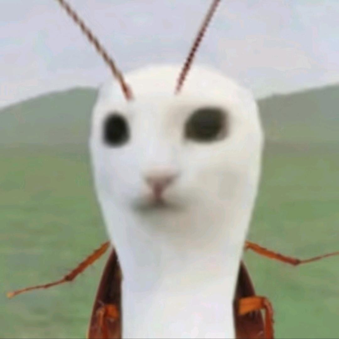 卿未