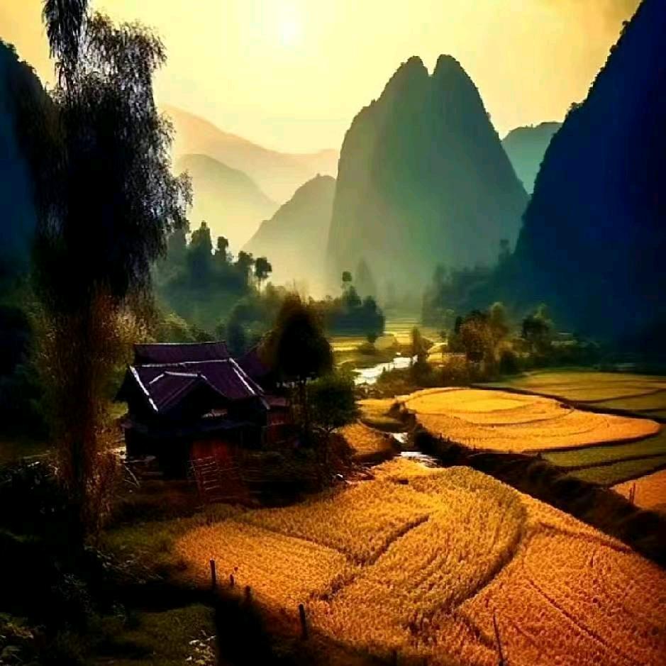 小柒