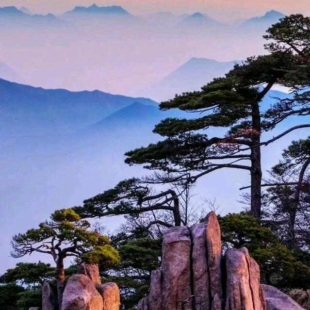 其华