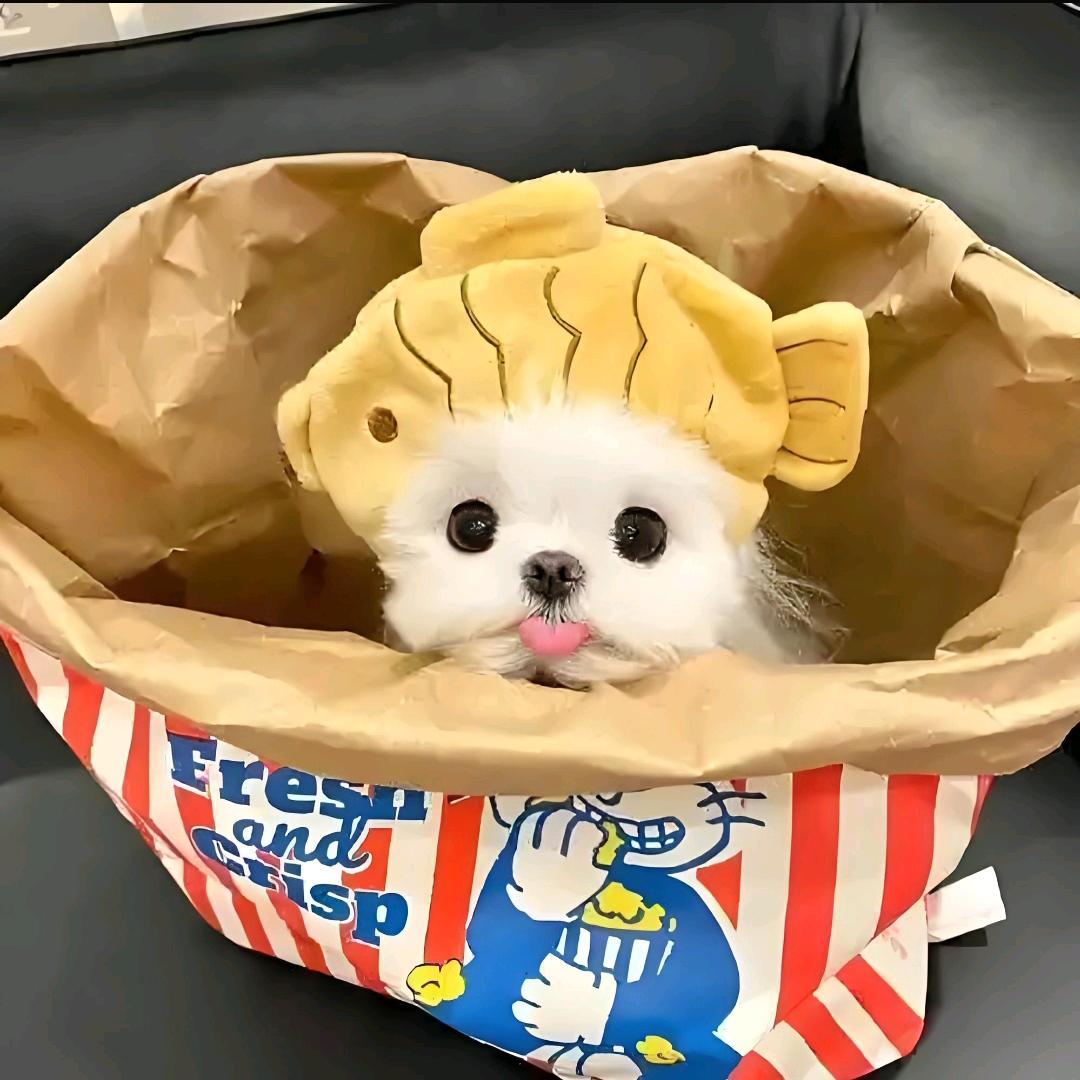 咋莓了