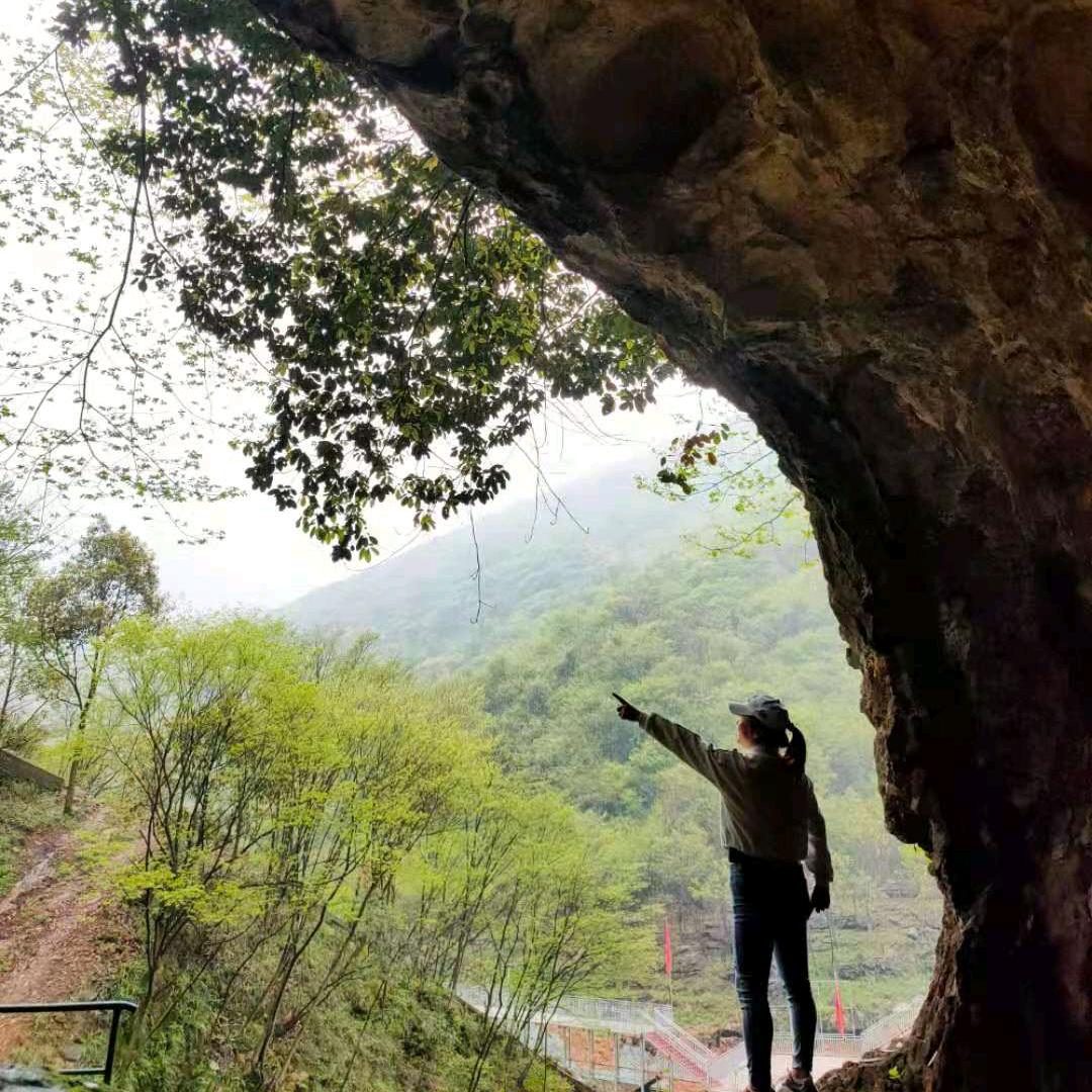 心若向阳无谓悲伤、