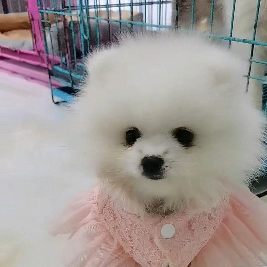 💫往后余生