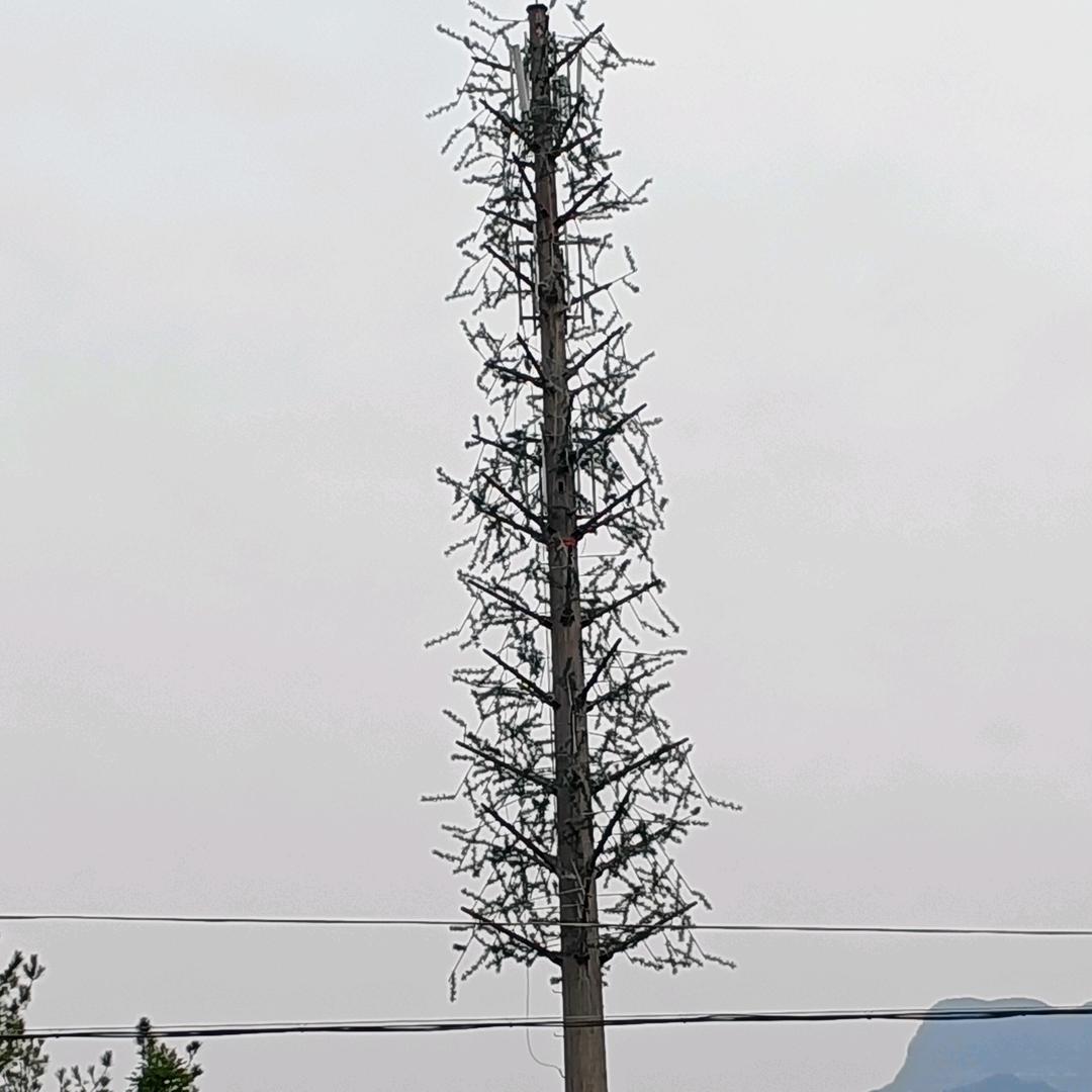 瀞@岭@高@山@风@雨
