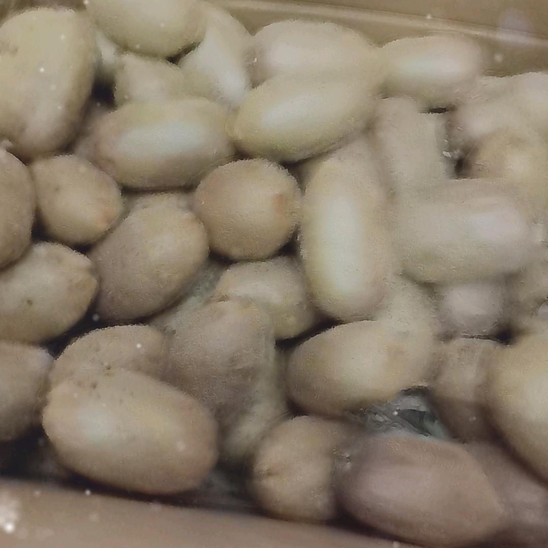 十八子