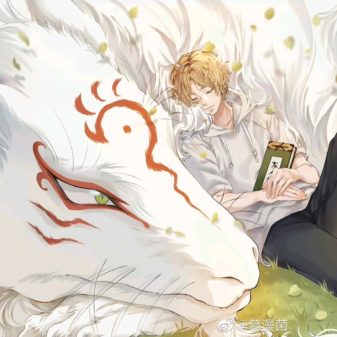 禾安🍃