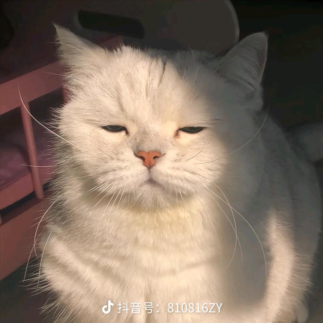 ( 。ớ ₃ờ)ھ