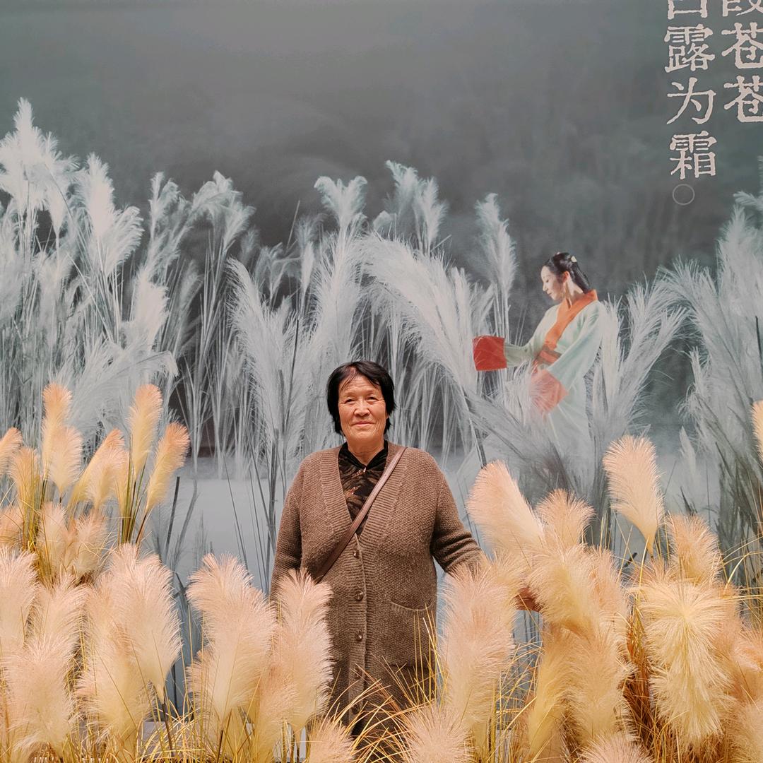 王阿姨