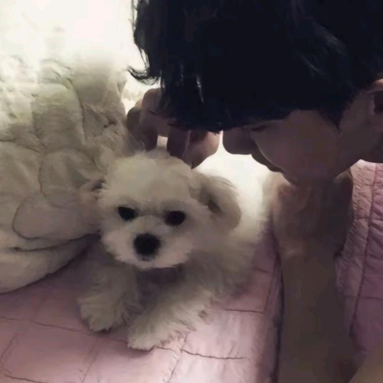 屁西歪的破烂宝贝