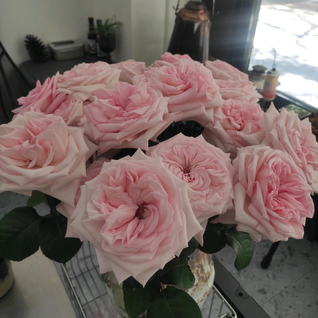 武汉市江夏区汐凯普百货商行（个体工商户）