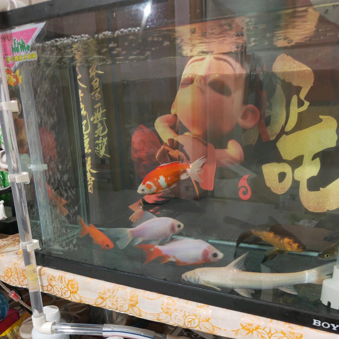 盛金食品机械111