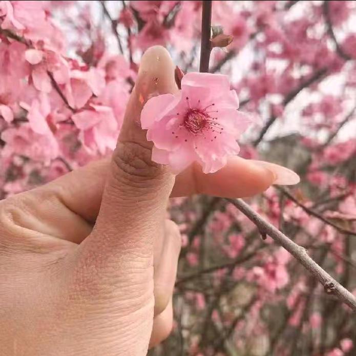 @ya ma. 🇲🇲🇲🇲🇲🇲