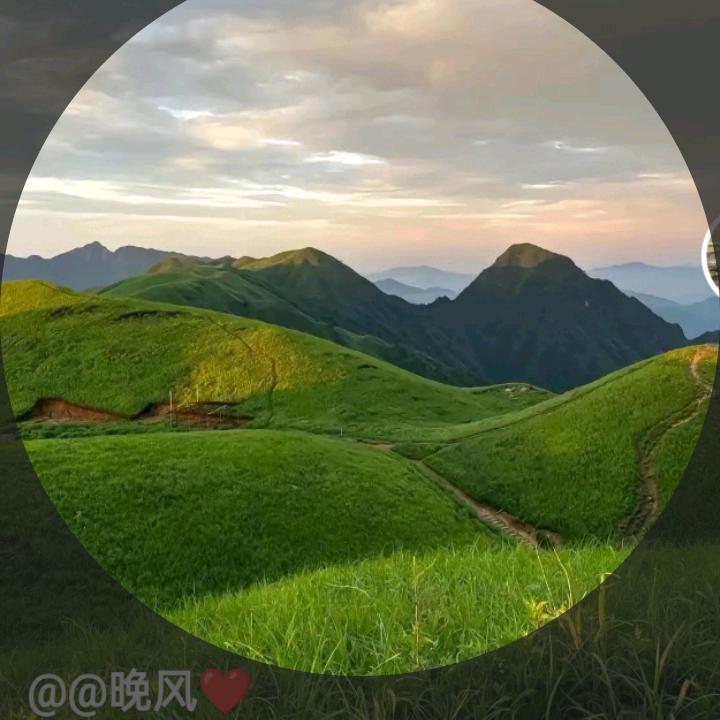 善明堂滋补行