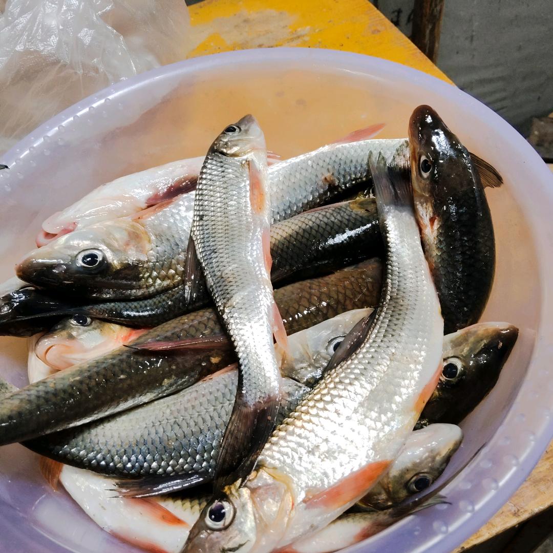 你不懂，我就问