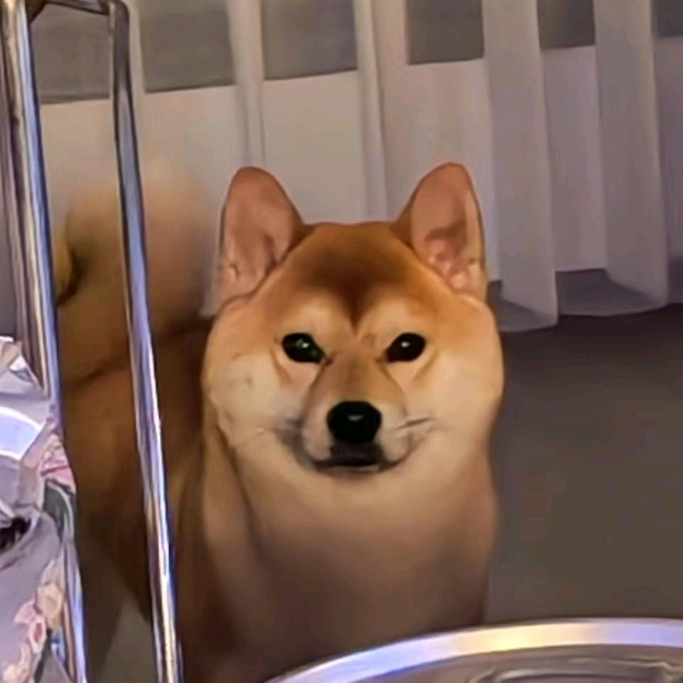 碎碎冰
