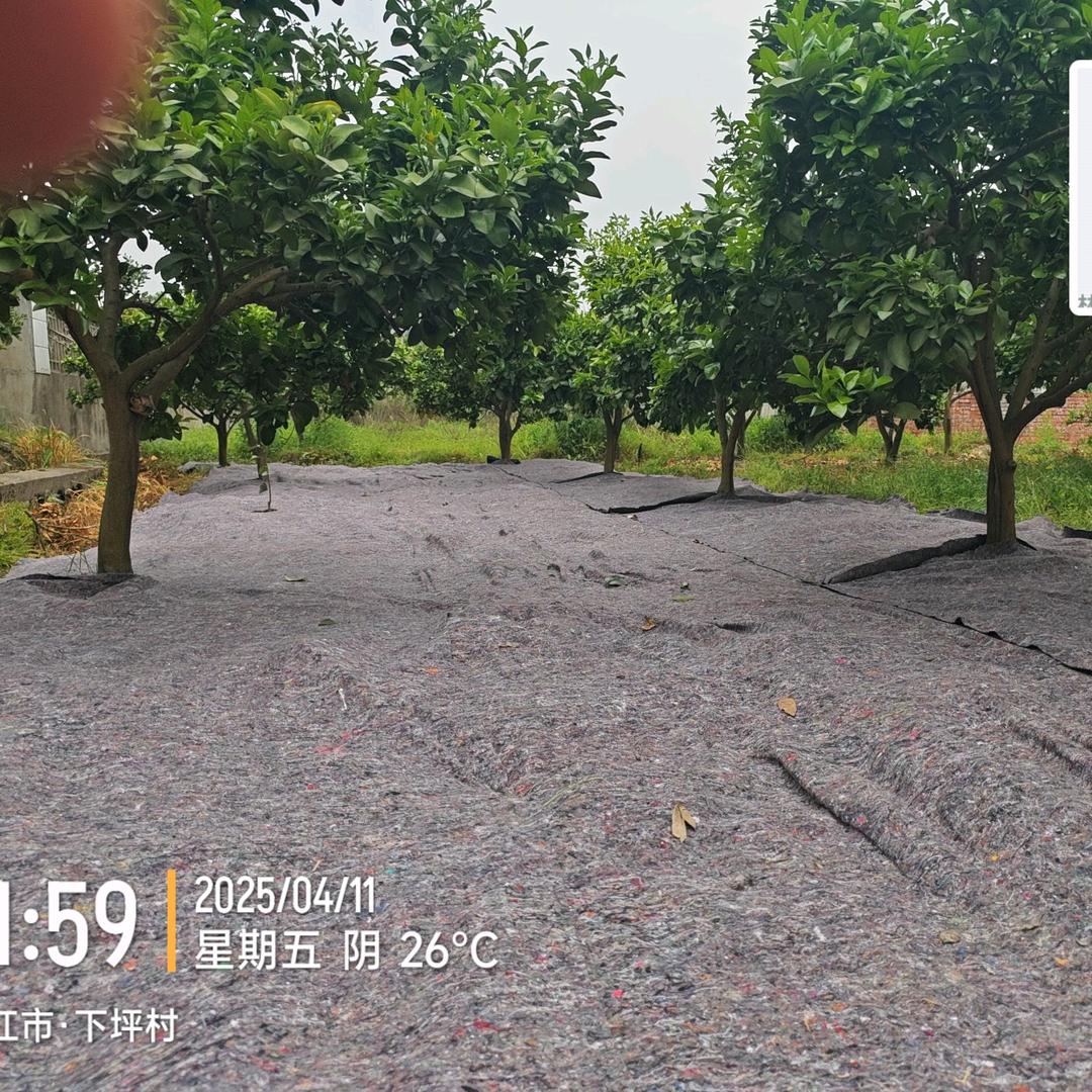 怀化下坪佬农业开发有限公司