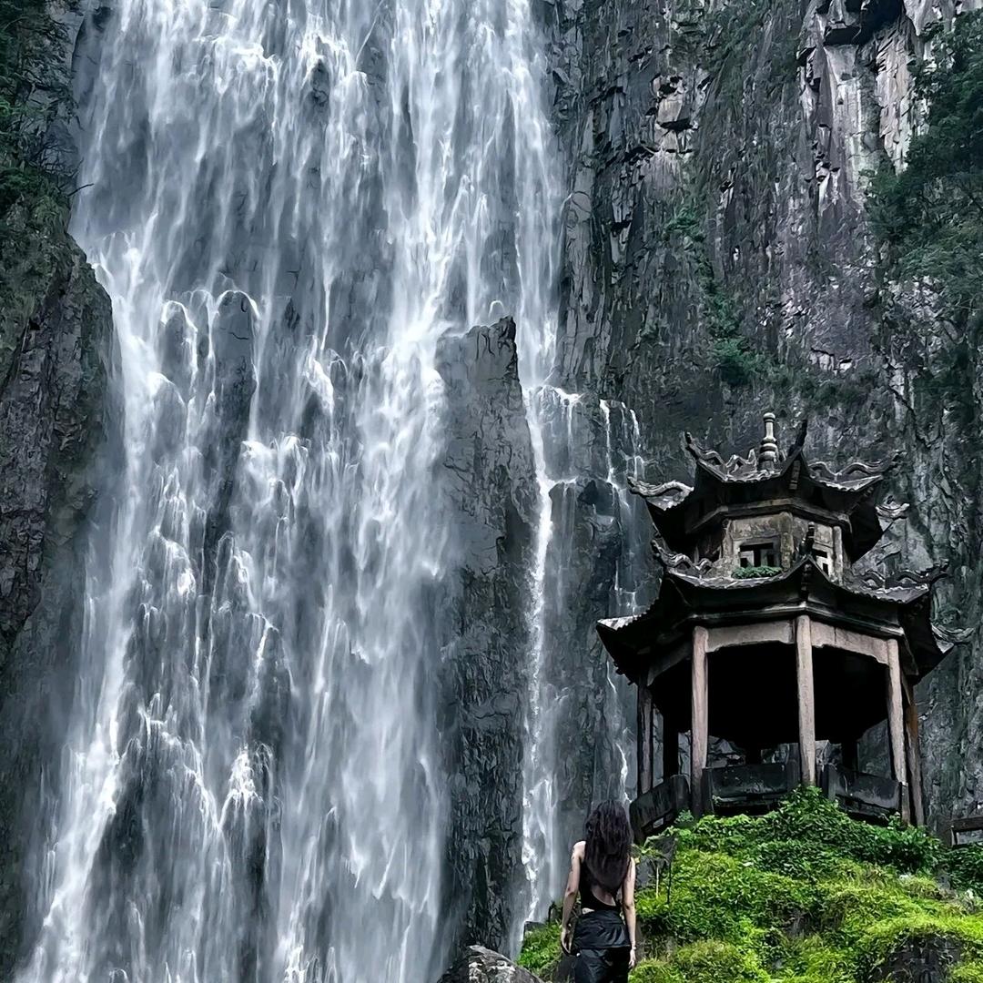 山雞6571