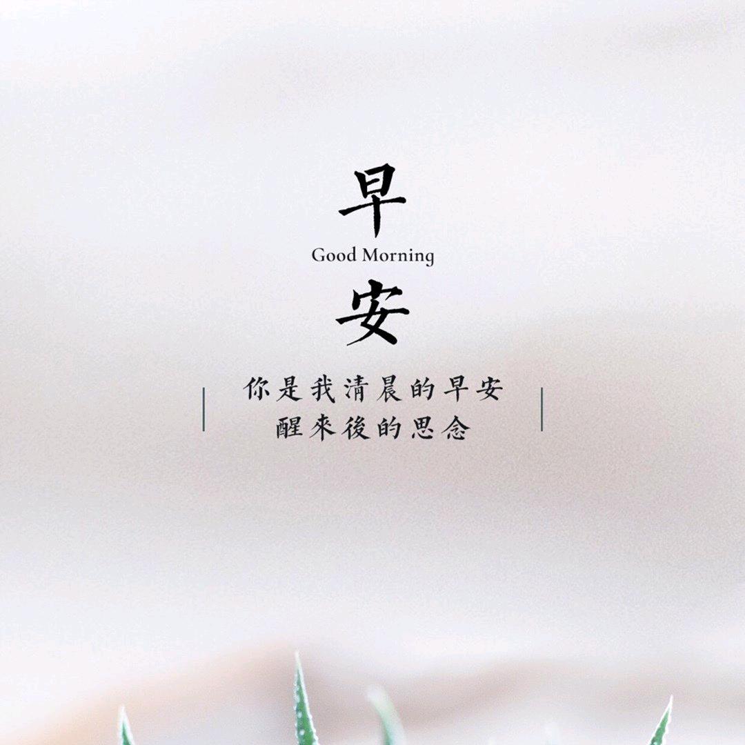 ☞℡青柠℡☜